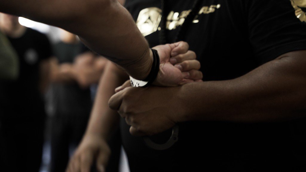 Algemas Profissionais: Quando a Escolha do Modelo Faz Toda a Diferença